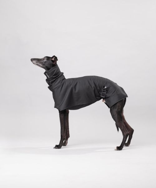 Bastards All-Weather Dog Wear